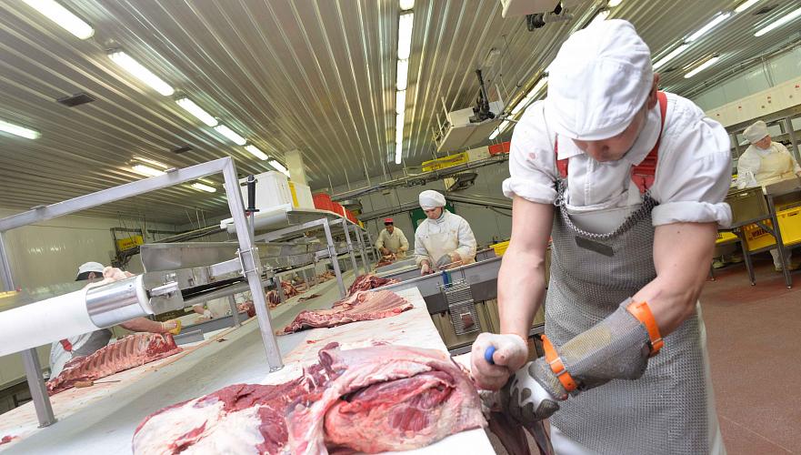 Французские инвесторы хотят создавать мясоперерабатывающие производства в Казахстане