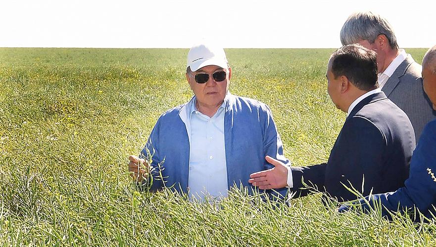 О недопустимости затягивания уборки урожая в Акмолинской области из-за угрозы издержек заявил Назарбаев