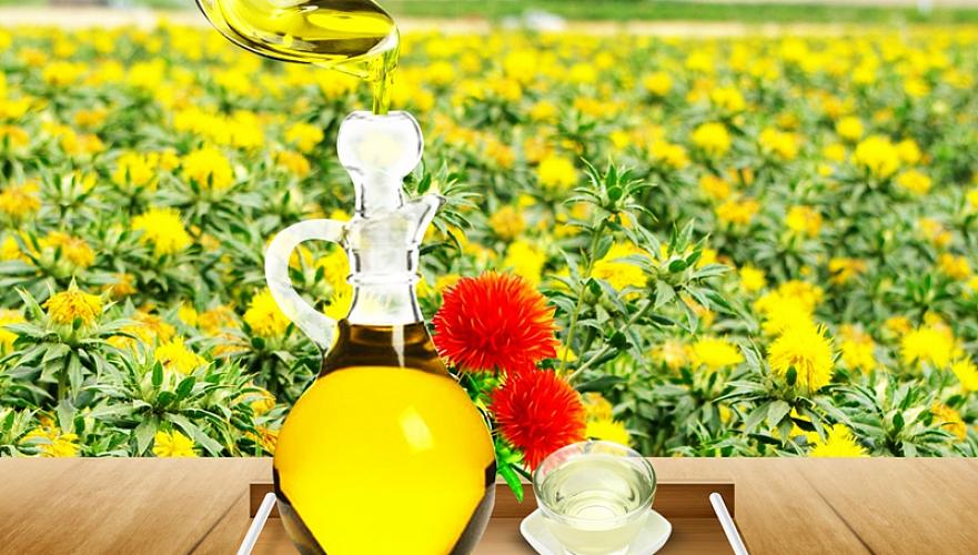 Казахстан экспортировал первую партию сафлорового масла в Японию